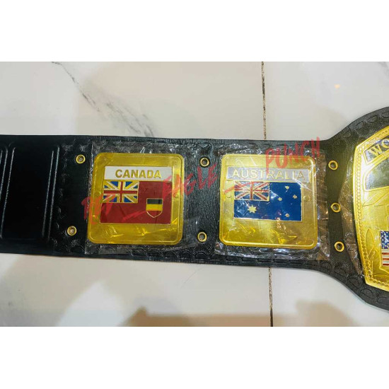 Domed Globe NWA World Heavyweight Wrestling Replica Championship Belt Adult Size -1007