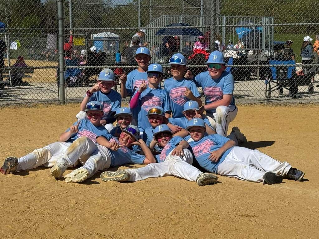 Custom baseball team hoodies with embroidered logo and names by MimiSports USA
