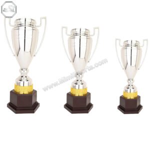 Custom Trophy | Awards Manufacturer | MimiSports